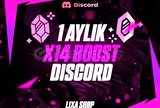 BOTSUZ⭐HIZLI⭐1 AYLIK 14 BOOST DISCORD