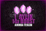 ✨ [BOTSUZ+OTO] DİSCORD 1 AYLIK 14X BOOST ✨