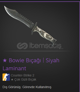 ★ Bowie Knife | Black Laminate (Field-Tested)