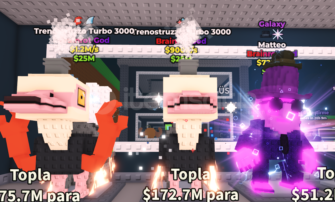 ⭐️BRAİNROT Brainrotgod 3li PET 23356  ⭐️BRAİNROT Brainrotgod 3li PET 23356