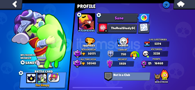 BRAWL STARS 235 SKİNLİ 50K KUPA HESAP 