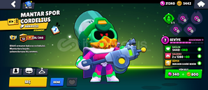 Brawl Stars 29k kupali 87 karakterli hesap