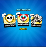 BRAWL STARS 3 PİN LİNK 