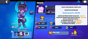 Brawl stars 33 bin kupalı hesap