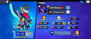 BRAWL STARS 55 K HESAP