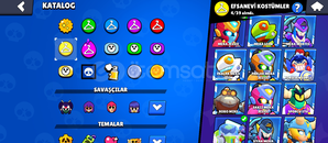 Brawl stars 58k bu fiyata yok ilk mailli