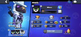 Brawl Stars Başlangıç Hesabı 