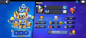 60 K | 250+ kostüm | coc hesabi | 91 karakter