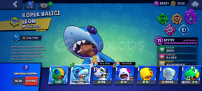 Brawl stars fiyat performans hesap Brawl stars fiyat performans hesap