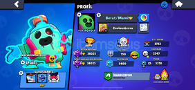 BRAWL STARS HESAP ACİL