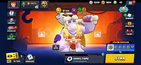 Brawl stars hesap fiyat peformans Brawl stars hesap fiyat peformans