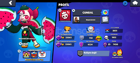 BRAWL STARS HESAP SATILIK 33042 KUPA BRAWL STARS HESAP SATILIK 33042 KUPA