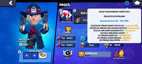 Brawl Stars MASTER 2 Hesap