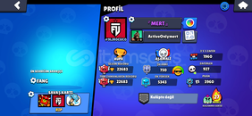 Brawl Stars para yatırılmış 120 dolu hesap Brawl Stars para yatırılmış 120 dolu hesap