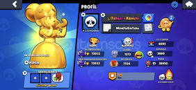 BRAWL STARS SAĞLAM HESAP BRAWL STARS SAĞLAM HESAP