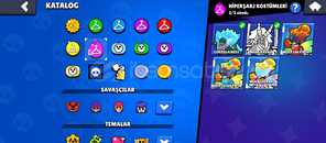 BRAWL STARS YILDIZ SHELLY UCUZ HESAP BRAWL STARS YILDIZ SHELLY UCUZ HESAP