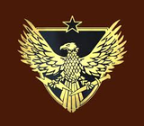 Brigadier General Pin