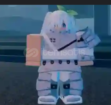 Broj Armor Broj Armor