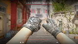 ★ Broken Fang Gloves | Unhinged (Field-Tested)