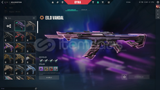 ⭐BRONZ 2 +EXO VANDAL + KALİTE⭐