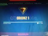 Bronz hesap