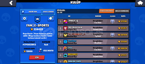 Bs orta değer klüp