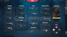 BU FIRSAT KAÇMAZ DOLU DOLU MAİNLİK HESAP!!!!!I!!