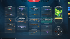 bu fiyata baska hesap bulamazssın.