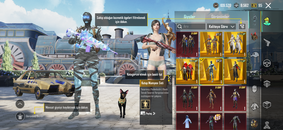 BU FİYATA EN İYİSİ FULL+FULL HESAP 