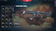 BU FİYATA YOK MAİLLİ!!!!