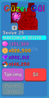 Bubble Gum Sımulator Secret Petttt