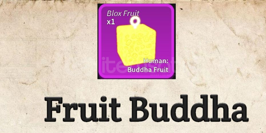 Будда blox fruits