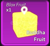 Buddha fruit