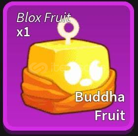 Buddha fruit blox fruit Buddha fruit blox fruit