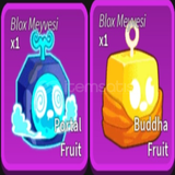 Buddha + Portal Fruit Paketi