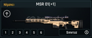 +1 SINIRSIZ MSR-01 +1 SINIRSIZ MSR-01