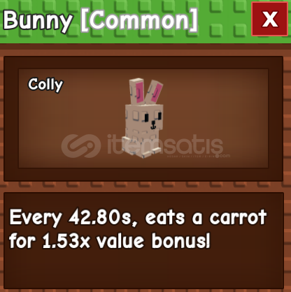 Bunny Bunny