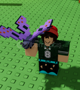BUTTERFLY 