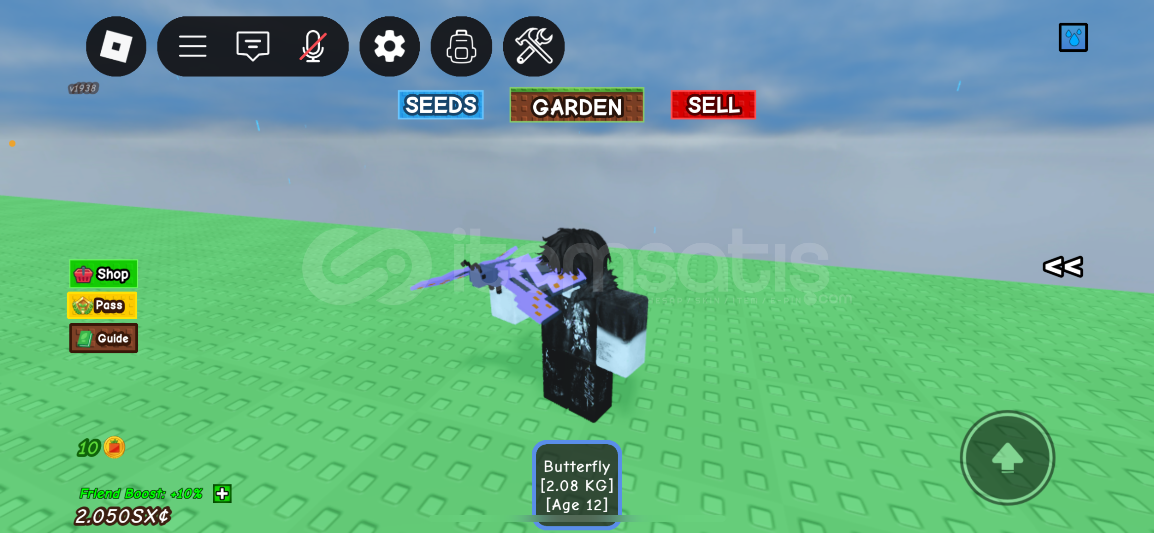 Butterfly grow a garden Butterfly grow a garden