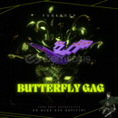 ⭐BUTTERFLY PET GROW A GARDEN⭐