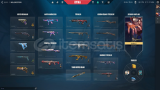 bütün silahlarda kaplama var eşsiz hesap gaialı