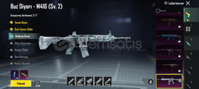 BUZ DİYARI(2)6 YILLIK HESAP