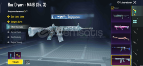 Buz Diyarı 3.Svy Hesap