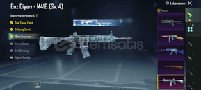 Buz diyarı 4 seviye RP açık temiz bağlar 