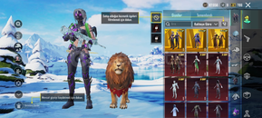 Buz diyarlı 5 x suitli hesap