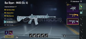 Buz duyarlı Pubg hesabı