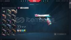 Valorant mainlik hesap 