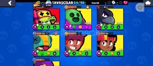 CADI SHELLY 11K 64 KAREKTER