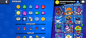 Cadı Shelly Ajan Colt