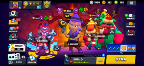 CADI SHELLY KIRMIZI BURUNLU NİTA